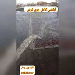 قالیشویی مجاز چنار