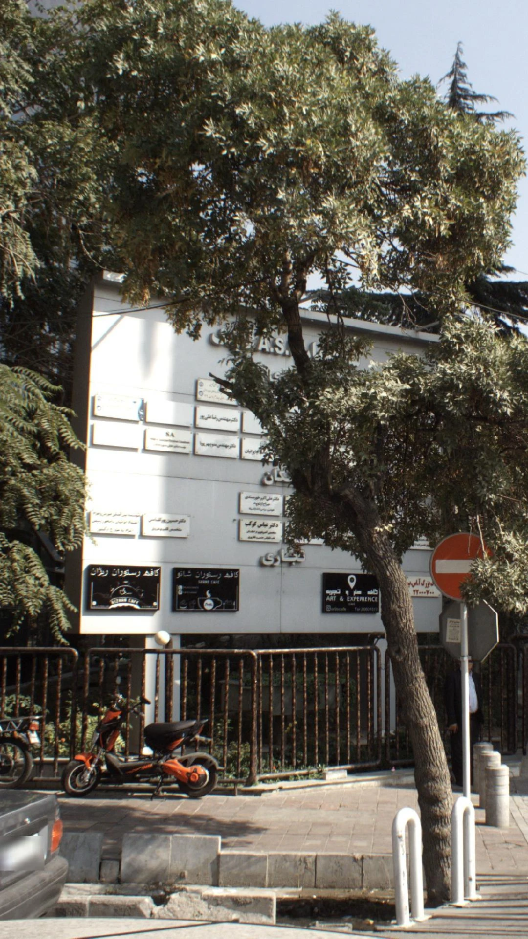 دکتر هومن عشقی - تصویر 2