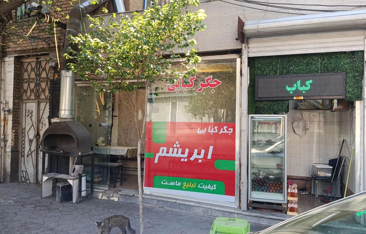 جگر کبابی ابریشم - تصویر 3