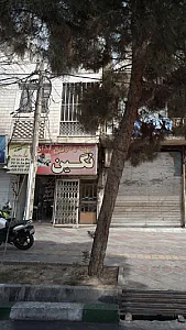 تهیه و توزیع غذای نگین