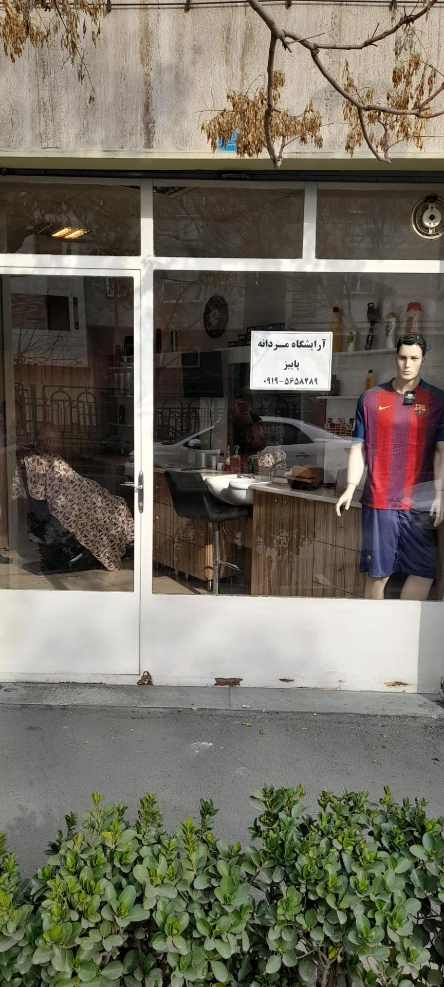 پیرایش حسن
