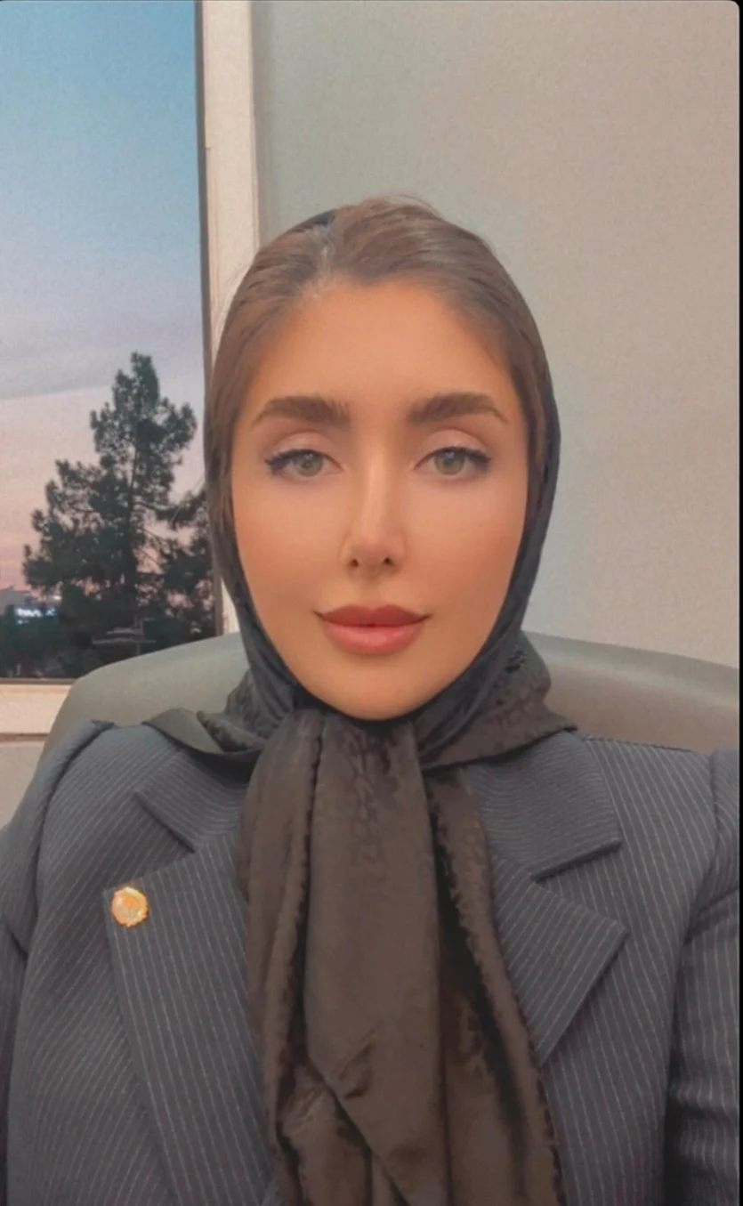 وکیل پایه یک دادگستری پروانه احتشامی نسب - تصویر 2