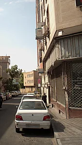 دکتر مرجان ثمره گلستانی