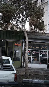باطری سازی محسن