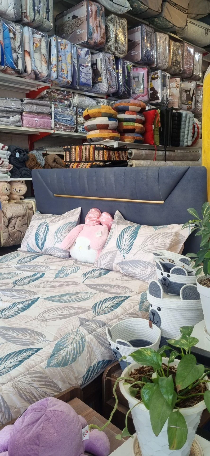 تشک و کالای خواب دریم