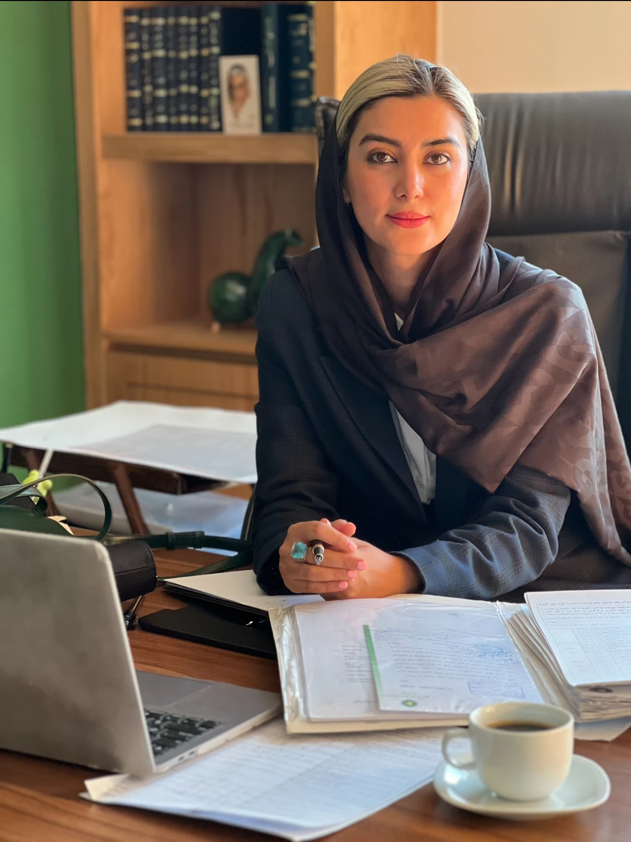 وکیل پایه یک دادگستری فاطمه ولیجانی - تصویر 2
