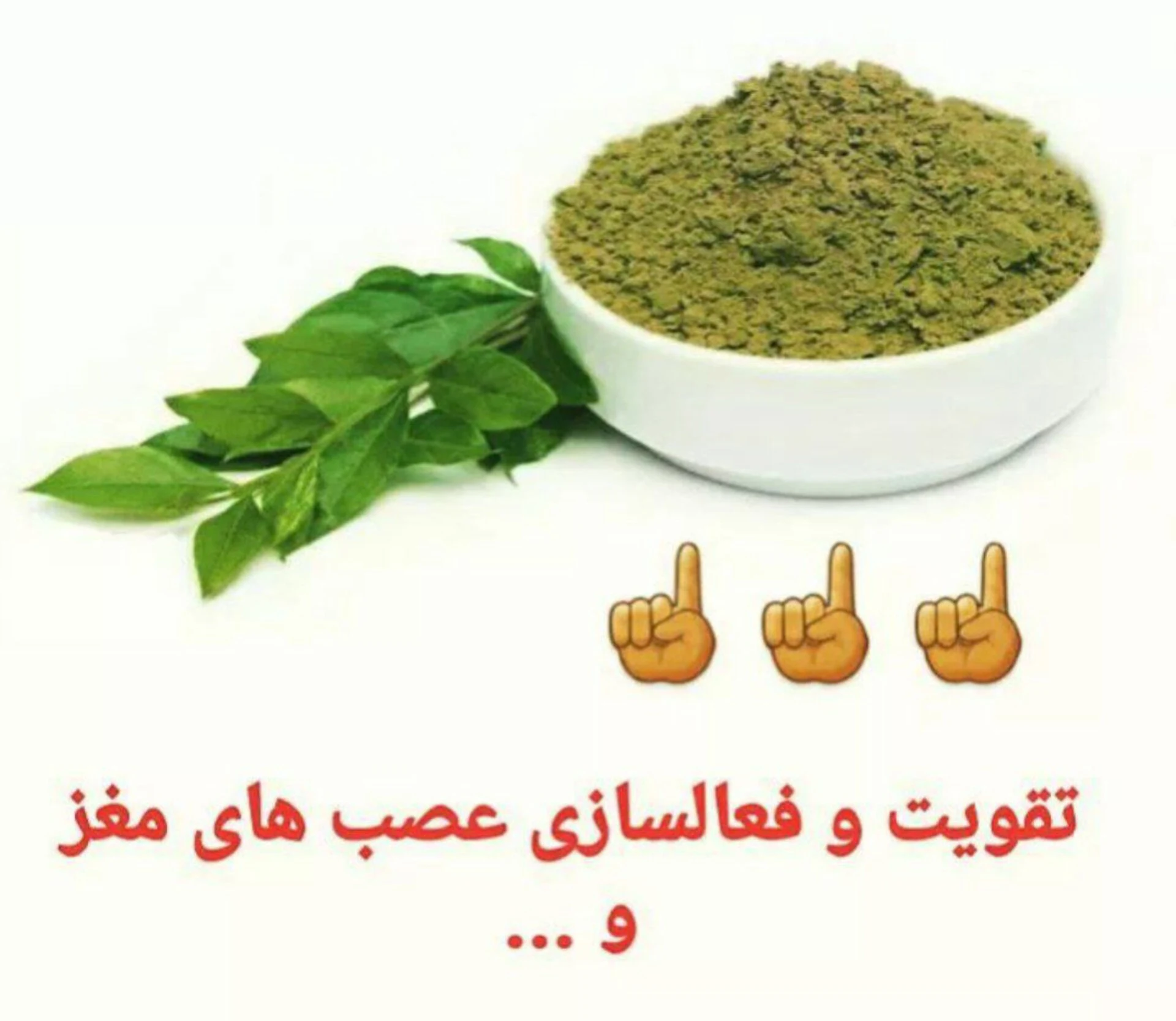 گیاهان دارویی سید باقر حکیم - تصویر 4