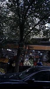 میوه فروشی سبلان شعبه 2