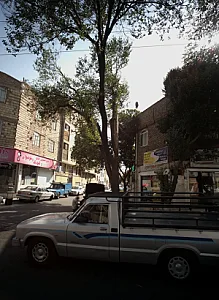 خدمات برق خودرو انژکتور سجاد