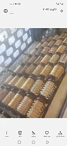 طلا و جواهرات  میرزاده