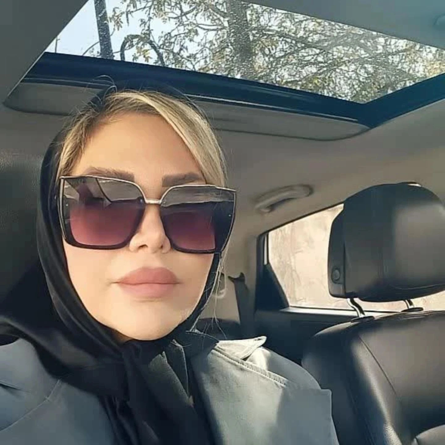 وکیل دادگستری - تصویر 2