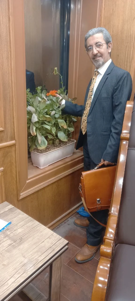 وکیل پایه یک دادگستری دکتر رجبی صدیقی - تصویر 2