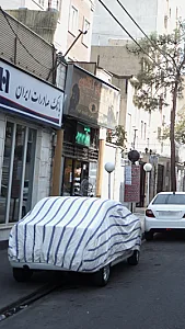 کبابسرای کاکتوس