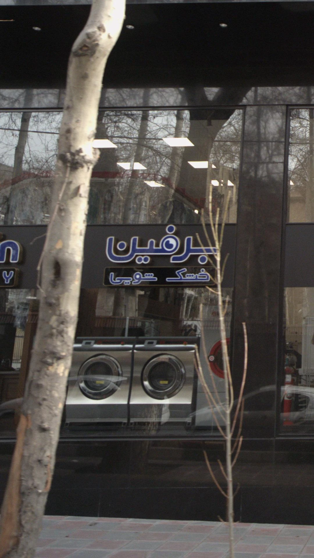 برفین - تصویر 2