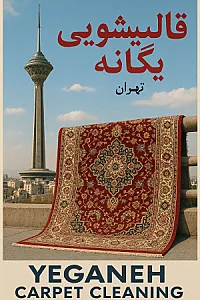 قالیشویی یگانه