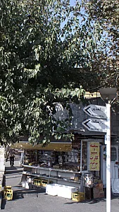مواد غذایی هنگام
