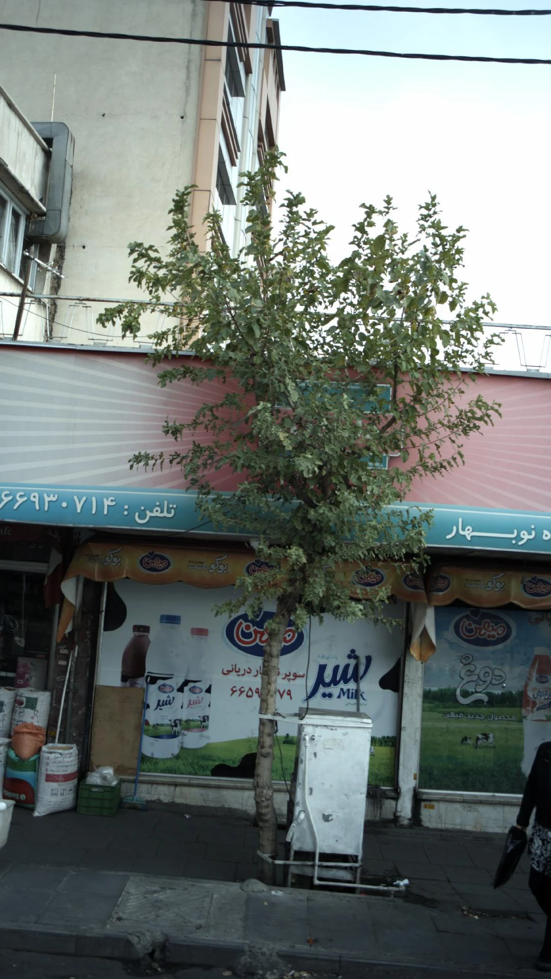 فروشگاه نوبهار - سوپرمارکت در تهران