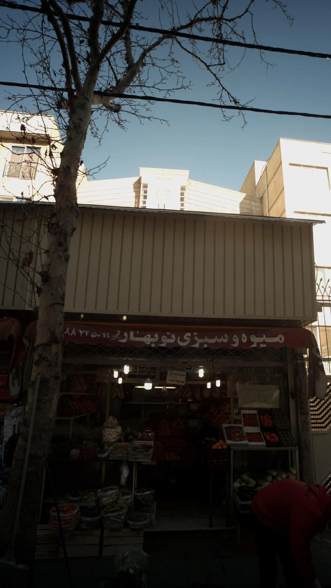میوه و سبزی نوبهاری - تصویر 2