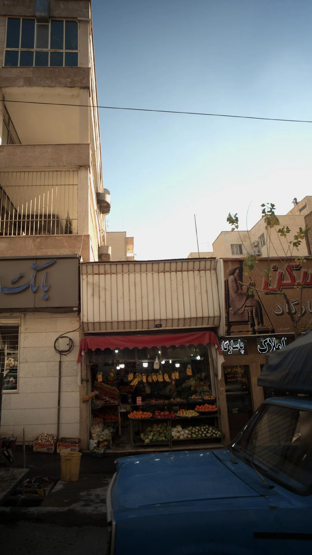 میوه و سبزی نوبهاری - تصویر 3