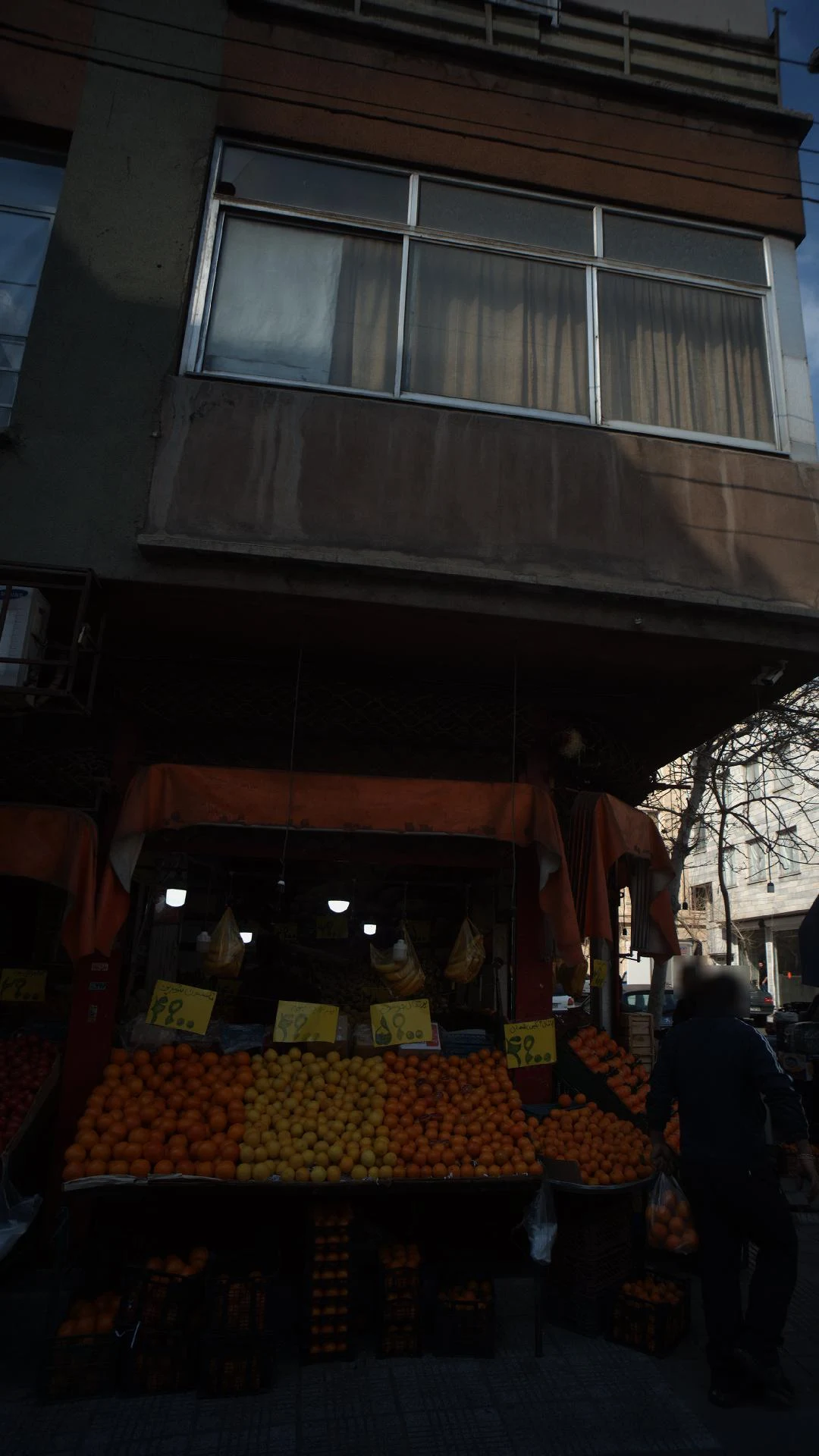 میوه و تره بار سلطانی - تصویر 4
