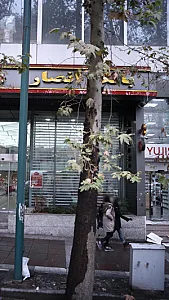  بانک تجارت شعبه باغ فردوس - کد: 379