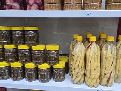 پخش امیرزاده