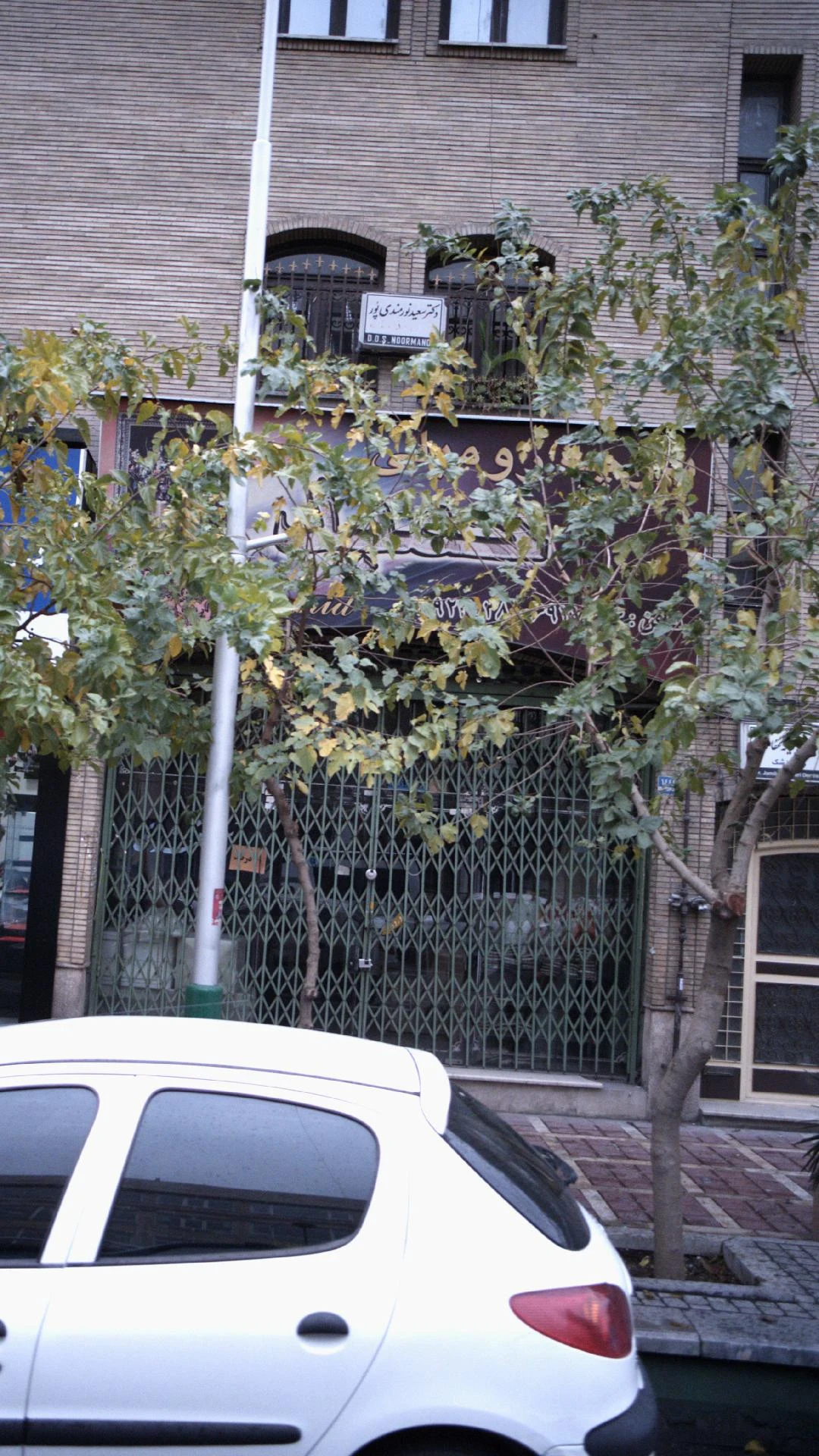 دکترمحمدرضا دانشمندی - دندانپزشک در تهران
