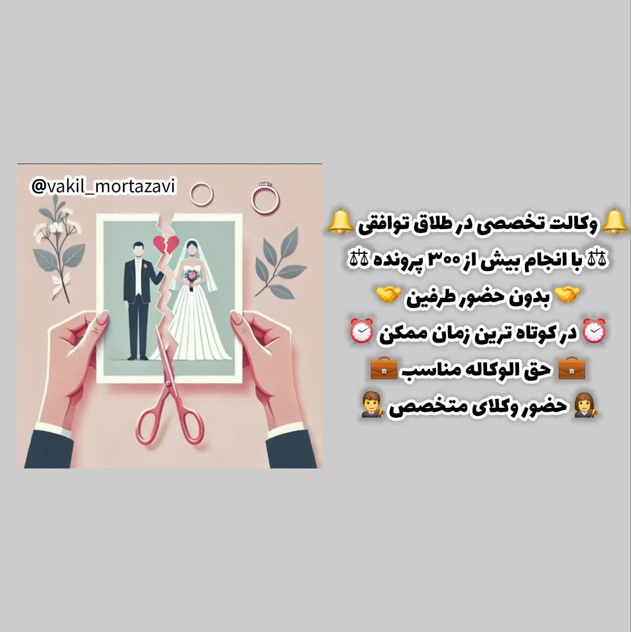 وکیل فاطمه مرتضوی - تصویر 2
