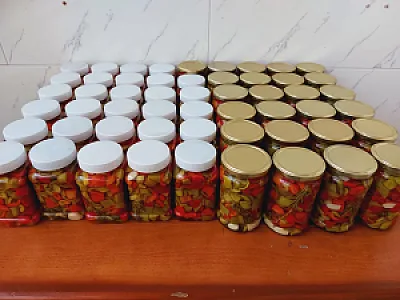 موادغذایی سرخ شده دینا