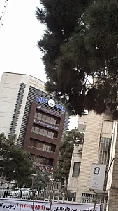 شرکت بیمه ایران