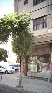 سوپر مارکت ابوذر