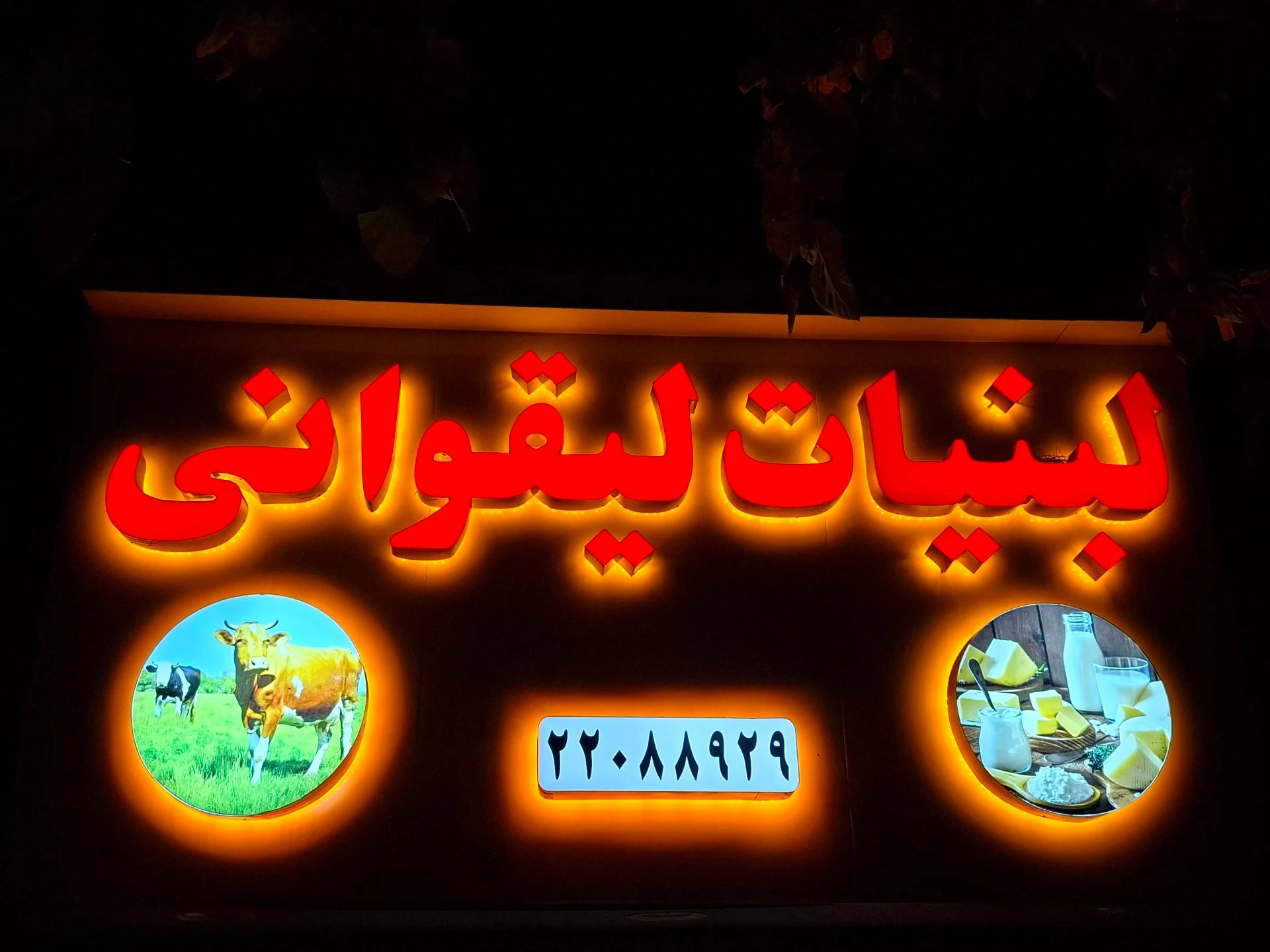 لبنیات یزدی - لبنیاتی در تهران