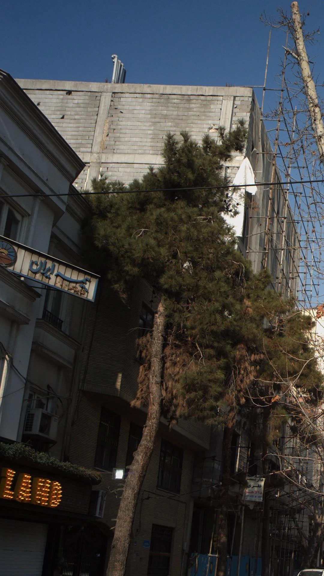 بیمه ایران - تصویر 2