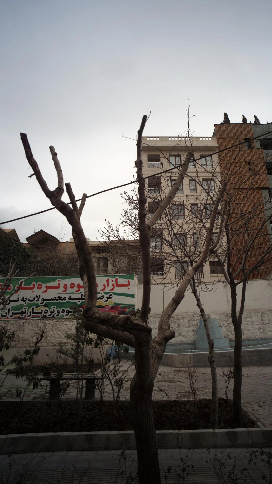 میوه فروشی عدالت - تصویر 2