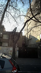 دکتر حبیب مفخم