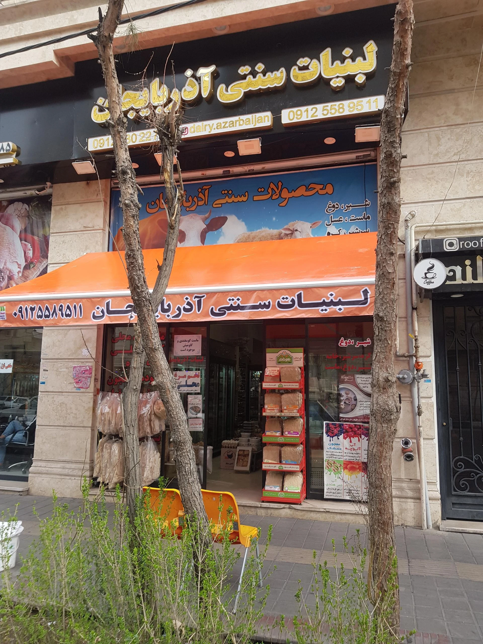 لبنیات یزدی - تصویر 2