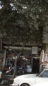 آبوازیان