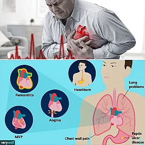 دکتر ندا مهرعلیزاده