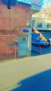 پلاسکو الی