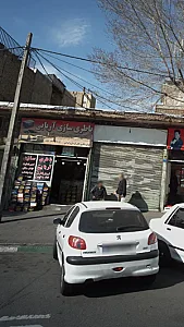 باطریسازی آریایی