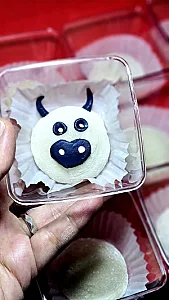 مژده ربیعی