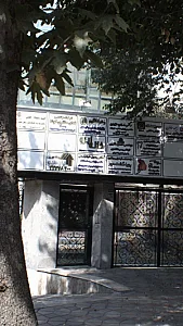 زهرا اقلیم