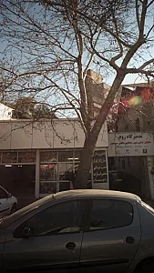 باطری سازی و تعمیر استارت و دینام