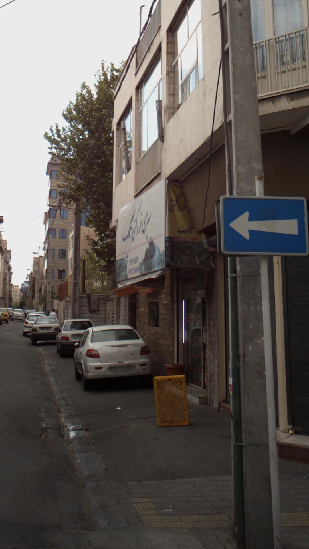 سبزی خورد کنی تک  - تصویر 2