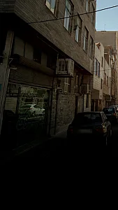 سبزی خردکنی ریحون ۲