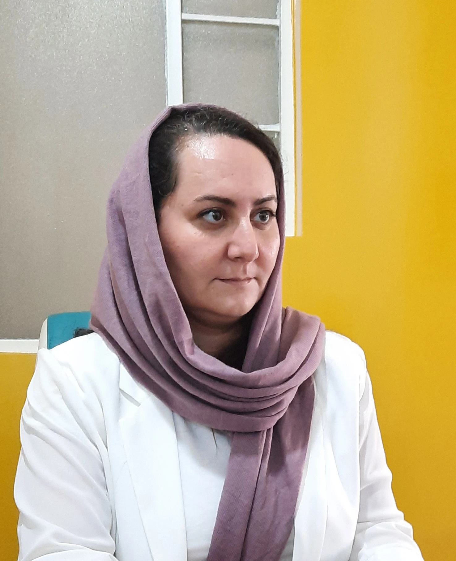 وکیل پایه یک دادگستری ملکی و ثبتی - تصویر 3