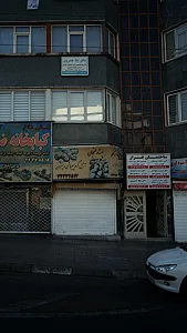دکتر دلارام آقایی