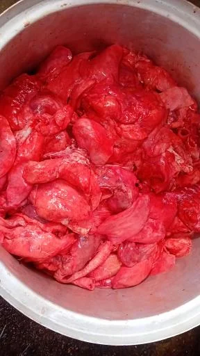 پخش آلایشات گاوی و گوسفندی مهدی‌پور