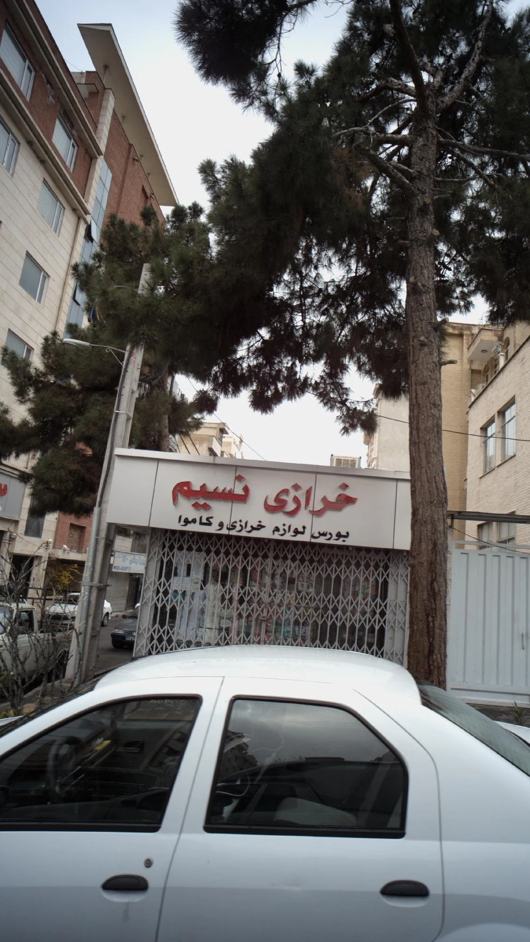 عروس سرای خاتون - تصویر 2