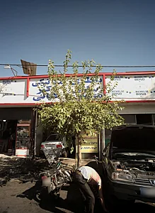 باطری سازی محسن